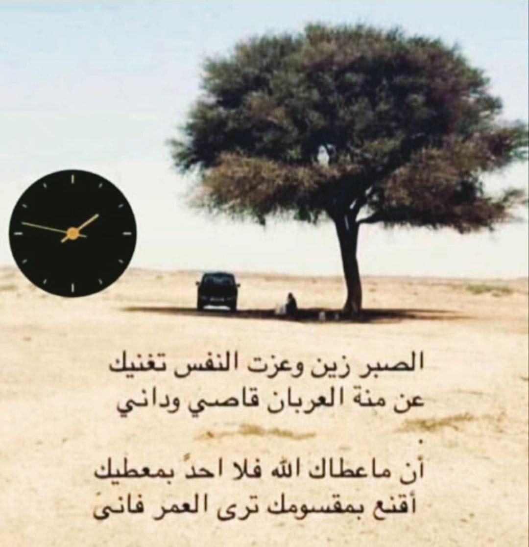 ابن جملاء (@abnjamla) on Twitter photo 