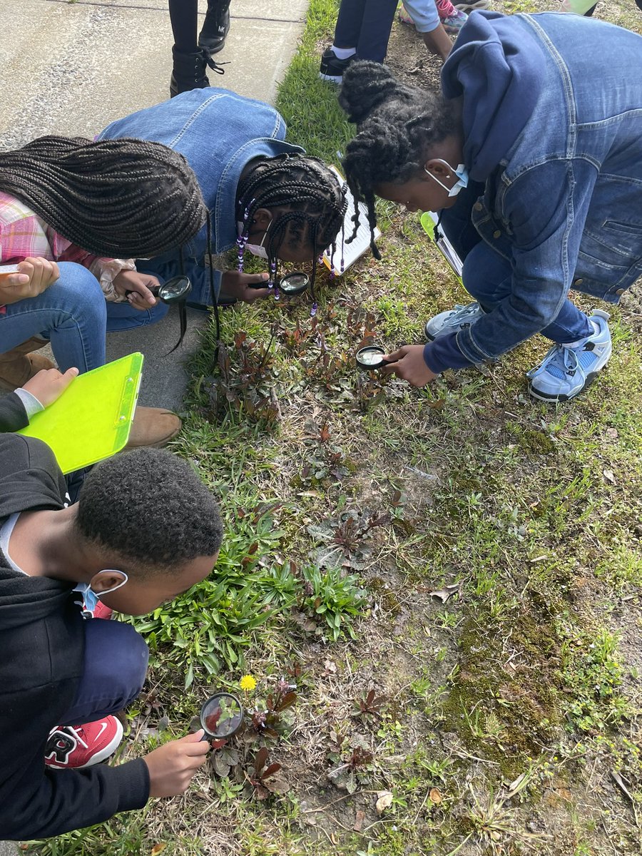 SRdataanalyst's tweet photo. Weโre just outside doing Science with the #WyldeCenter #science #ecosystems #foodchains #foodwebs #stemgarden https://t.co/GUSCuu9C0g