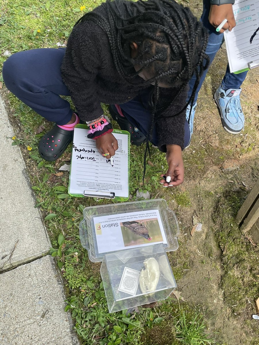 SRdataanalyst's tweet photo. Weโre just outside doing Science with the #WyldeCenter #science #ecosystems #foodchains #foodwebs #stemgarden https://t.co/GUSCuu9C0g