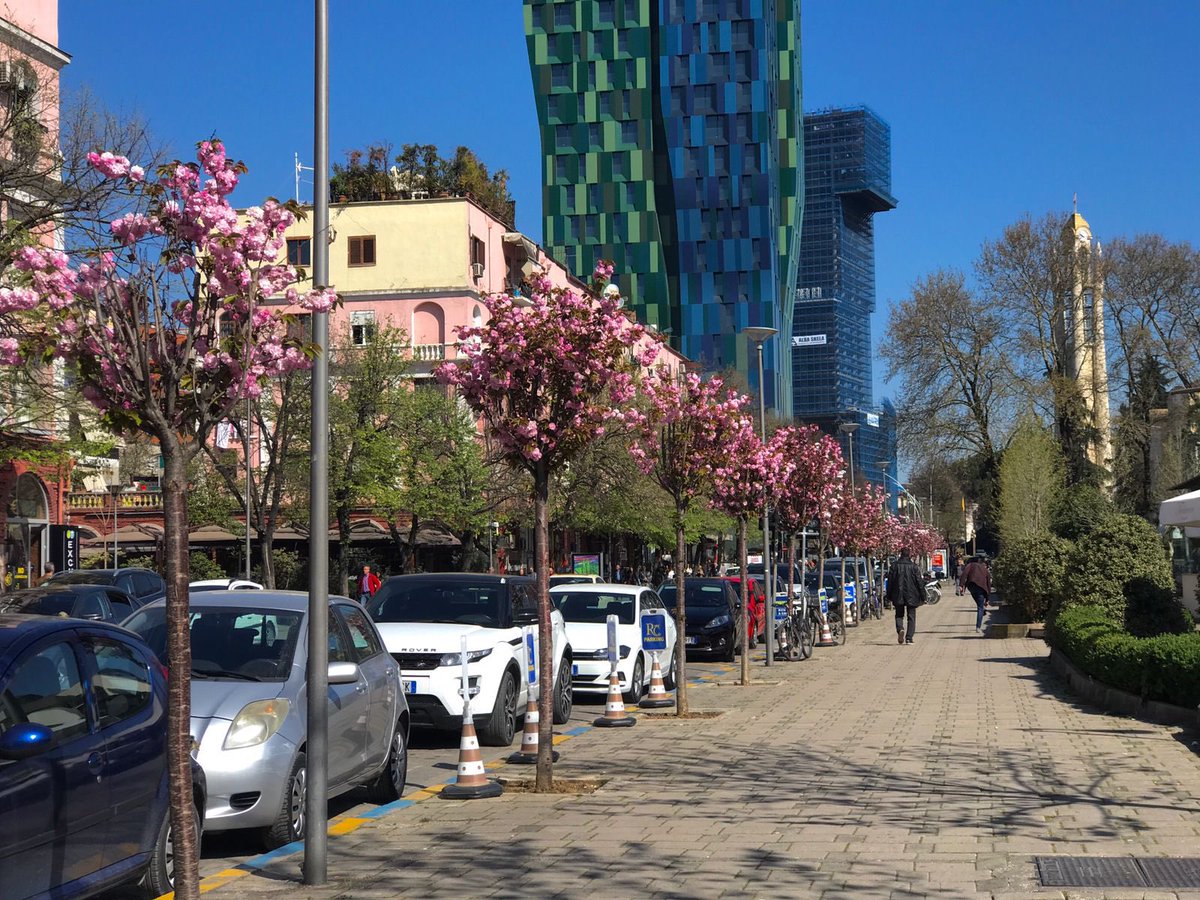 ArlindaBinjaku's tweet photo. #asbeautifulasalways🌺 #tirana #japancherryblossom 🌸 https://t.co/9ElSQ6XpRz