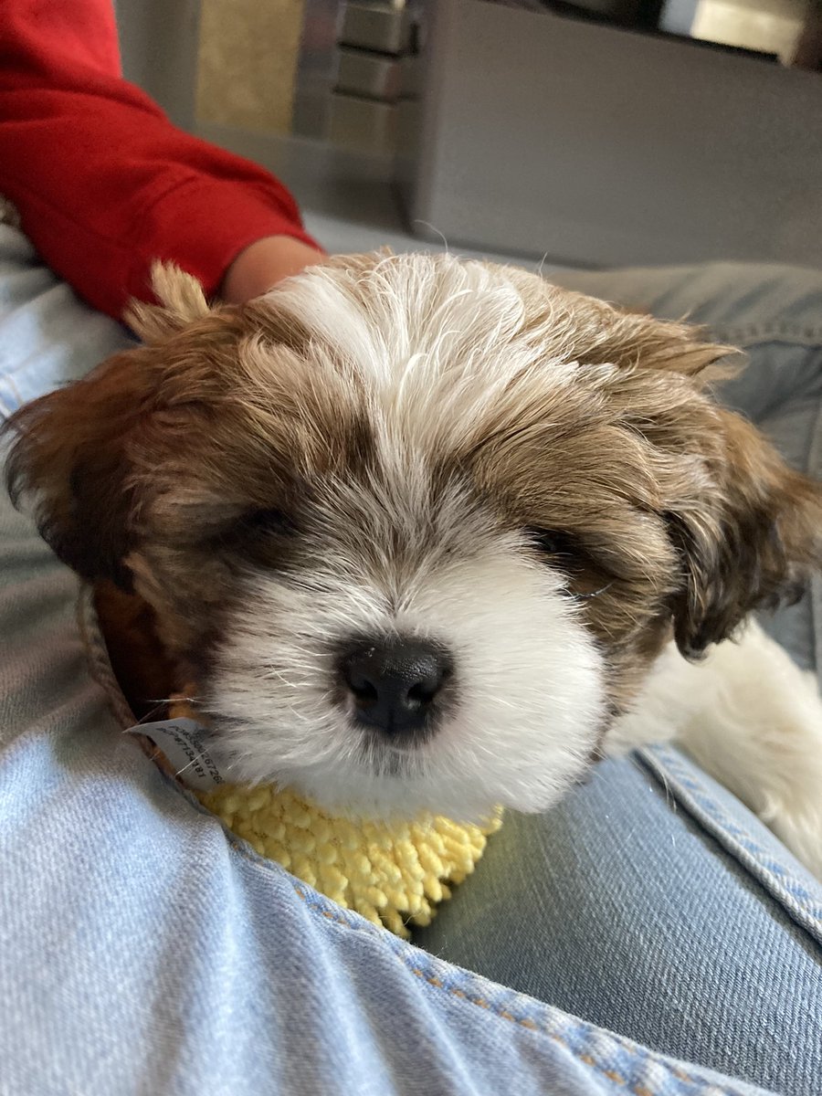 Sara Owbridge 💙 tweet media