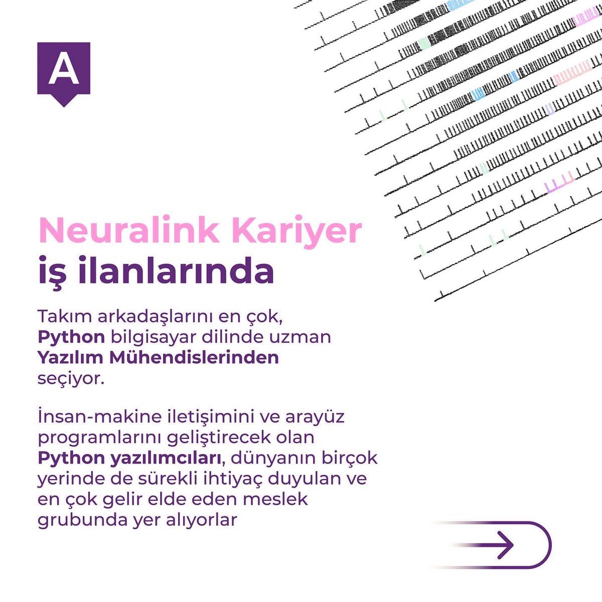 algorithmicsist's tweet photo. ✨ Neuralink takım arkadaşlarını en çok, Python dilinde uzman Yazılım Mühendislerinden seçiyor. 🤖 İnsan-makine iletişimini ve arayüz programlarını geliştirecek olan Python yazılımcıları, 🌎 dünyanın birçok yerinde de ihtiyaç duyulan ve en çok 🫰gelir elde eden mesleklerden https://t.co/AZLZBadMyi