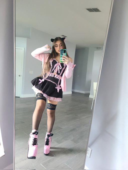 Little cat going to the mall https://t.co/BdGW6SA8HX<a href="/tag/killbill"class="tags"><span>#killbill</span></a>