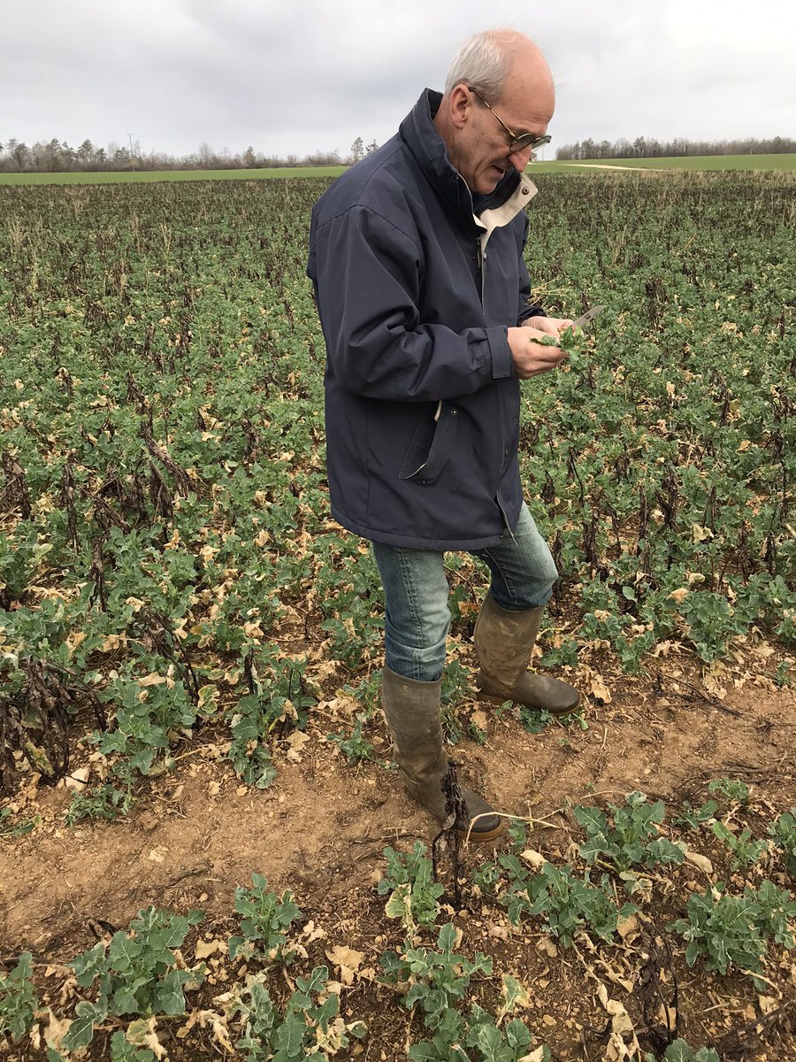 OlivierCOSTE2's tweet photo. @Aurelien101 @BONNIN1402 Normalement nous verrons le
26 avril,notre #DocColza et #DocCéréales.
Si tu le vois avant,tu lui passeras
le bonjour. https://t.co/FTGHqrXDK2