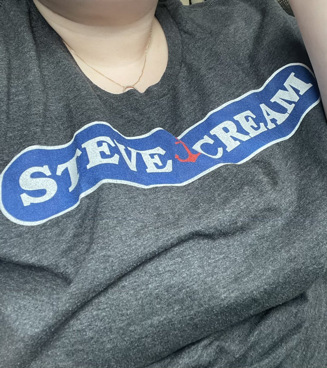 cecetron's tweet photo. Wearing my Steve Cream shirt today. #IYKYK #HHN #HHNatHome https://t.co/rE6k9EDdiY