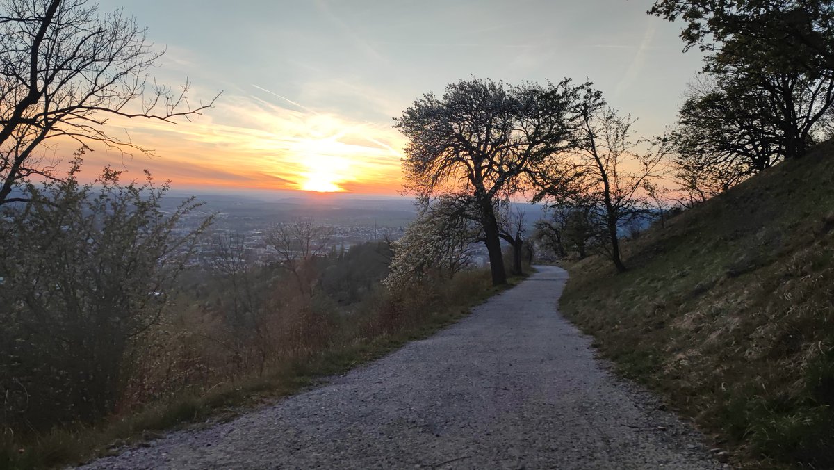 Dallinho1893's tweet photo. Kleiner Ausflug heute
#Achalm
#Reutlingen https://t.co/MomNMxS6jm