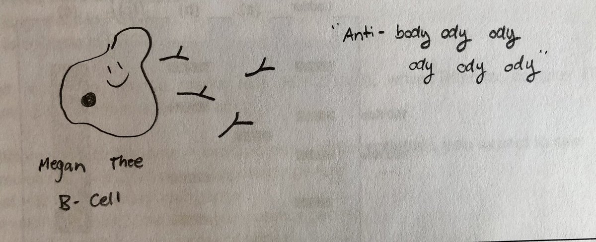 L Rieder tweet media