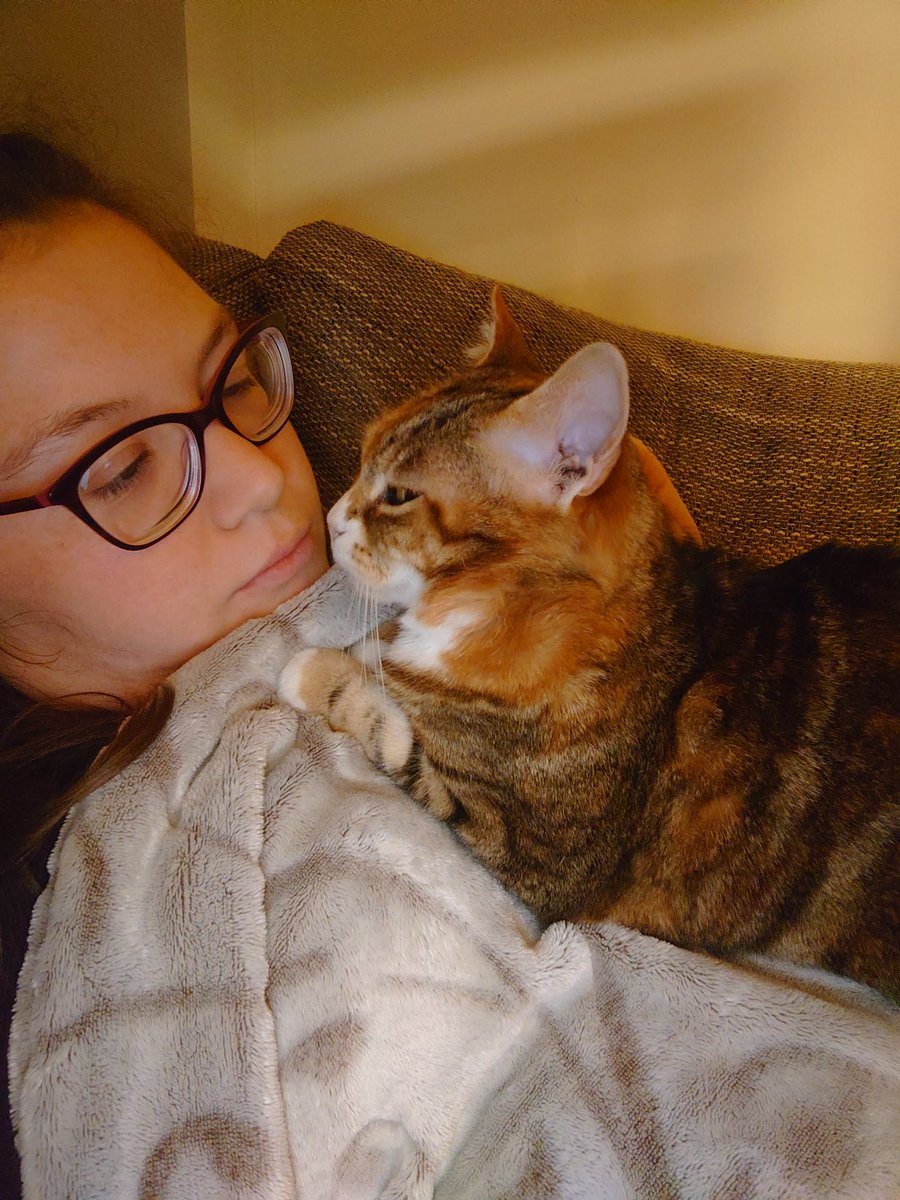 Luzifer951's tweet photo. Ich: ich hasse Katzen. 
Auch ich: https://t.co/hQx42r5HPX