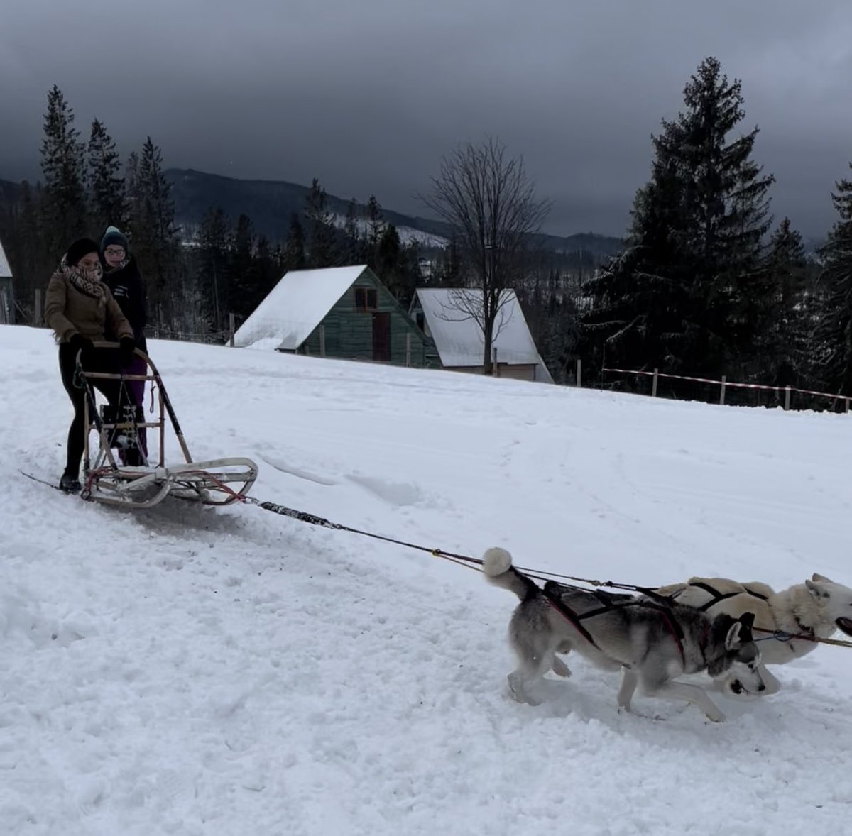QKDurrani's tweet photo. ‘Improvising Culture’ ERASMUS+ Youth Exchange in Poland.

February 5th - February 13, 2022
Murzasiche, Zakopane &amp; Warsaw. 
@EUErasmusPlus 

#Poland #ERASMUS #Youthexchange #erasmusplus https://t.co/W94kv9ZJpG