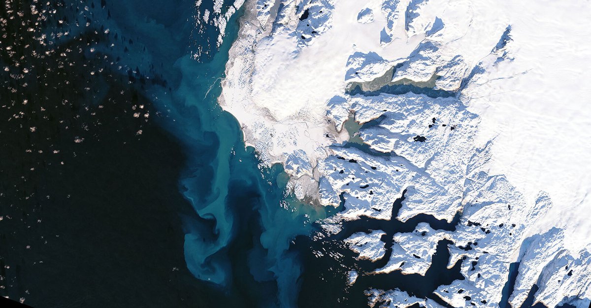 NASAEarth's tweet photo. Get a pulse on our planet with @NASAClimate's Earth vital signs👇 

🌡 Temperature 1.53°F (0.85°C) warmer than average
🧊 Sea ice declining 13% per decade
🌊 Sea level rise of 97-105mm

More stats: https://t.co/akVr32Qs0h https://t.co/8Z3VuXbd4d