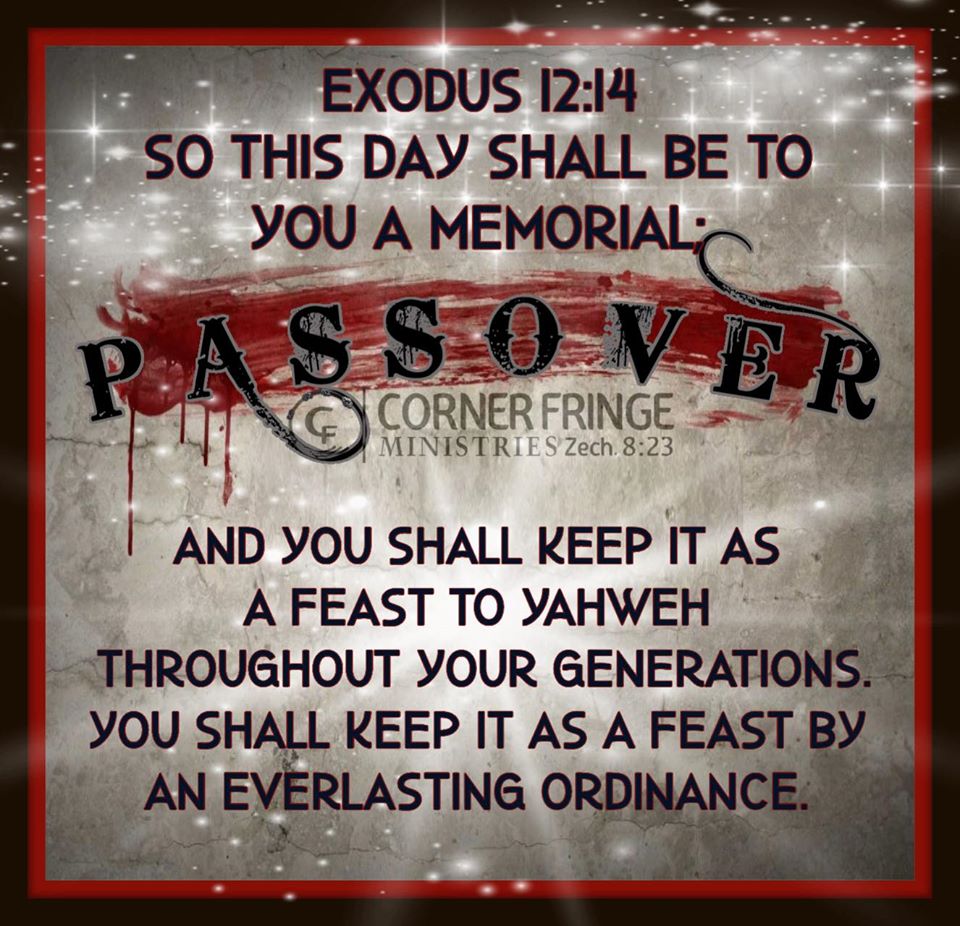 CornerFringe's tweet photo. Chag Sameach, Mishpacha!
#passover #pesach #lambofgod #savior #cornerfringe #unleavenedbread #seder #springfeast #redemption #mishpacha #salvation #exodus #ordinance #yahweh https://t.co/gfs8Lok8vg