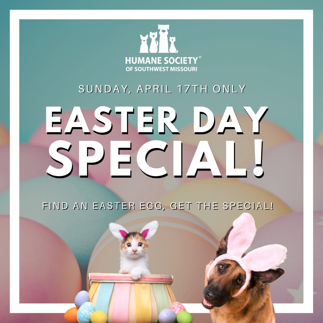 Easter is tomorrow and we're OPEN! We have some special dogs and cats that are wanting to join your crew! Hop on in tomorrow, Sunday, April 17th, from 12-5pm and look for the Easter eggs! Find an egg and see what special prize is on it!