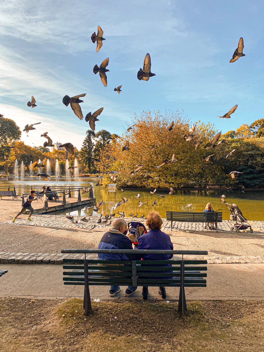 FabriCaradonna's tweet photo. El otoño en Buenos Aires 🍂🍁 https://t.co/5M7swMS4ch
