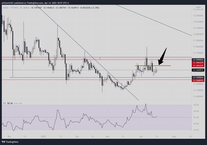raffalautner's tweet photo. Just gib a clean underside test and I'll show you what this doggy can do.
$DOGE https://t.co/QpzQBHufvQ