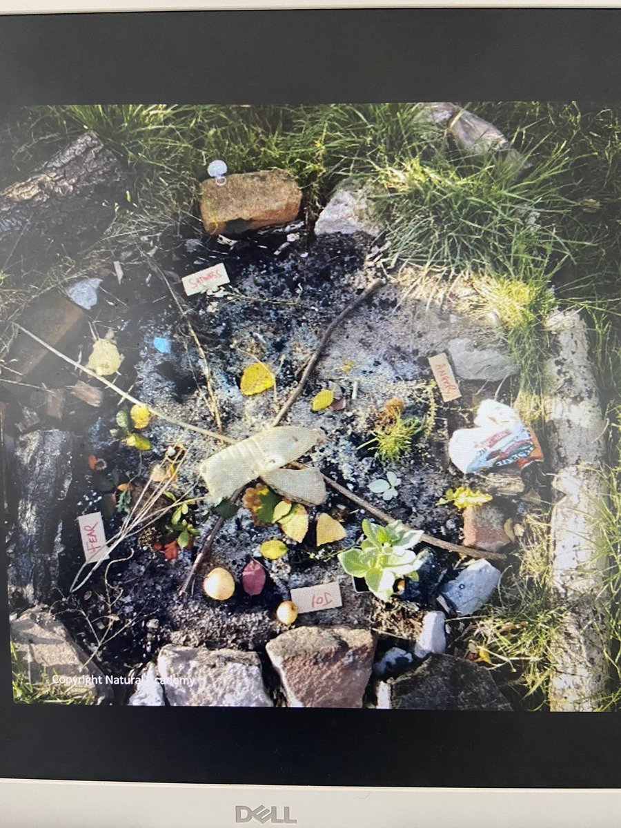 shinecoaching1's tweet photo. A huge thank you to @natural_academy for delivering day 1 of our eco therapy training, in a few months time we will be nature based faciliators! Joint working plans with Wildwood Days &amp; OUR volunteers &amp; coaches. 
#shineoutdoors #greenfires #mentalhealth #beinnature 
#gratitude https://t.co/tp96KGg5OF