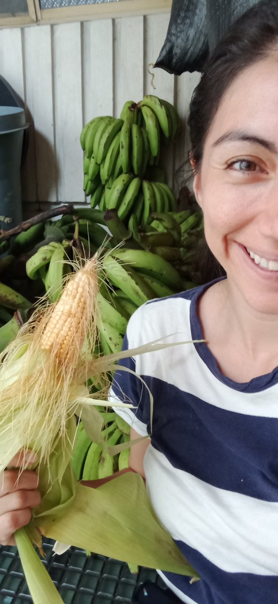 RaquelRiveraL's tweet photo. Si no son biogénicos, no los quiero! Y tú? Conoces la procedencia de los alimentos que consumes? Te estás nutriendo o intoxicando? @FeriaBonaterra mañana nos vemos ☺️ https://t.co/04ZBqqeRPQ