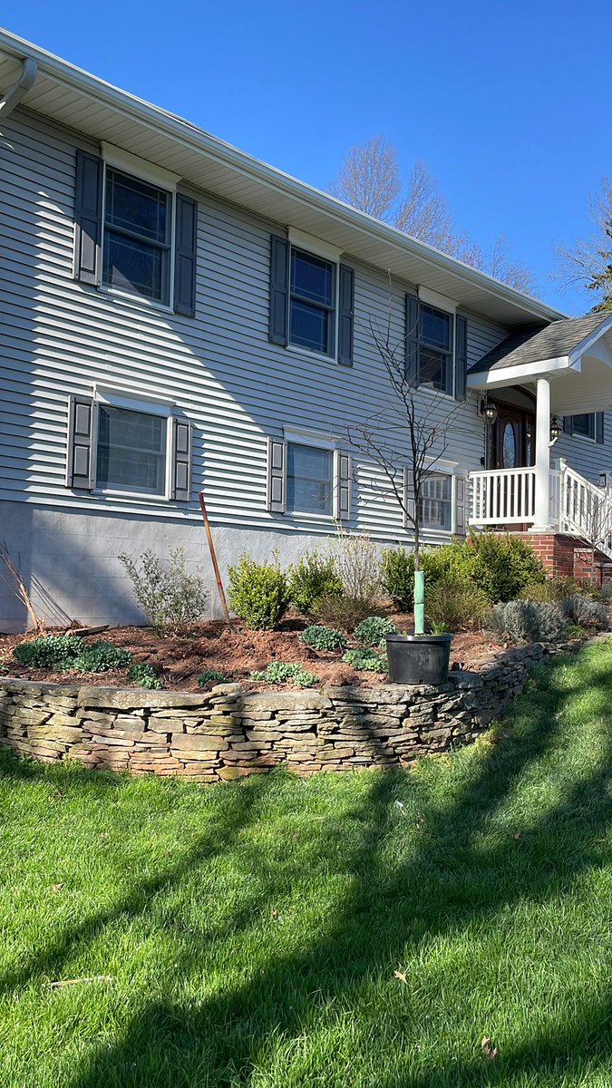 Blisser's tweet image. I’ve always been someone who nerds out over trees. After after lots of patience, research, and years of interest in trees, I am so excited to get this “Flame Thrower Red Bud” as the first tree I have planted on this property! #NJTree @arborday @NJTrees fast-growing-trees.com/products/flame…