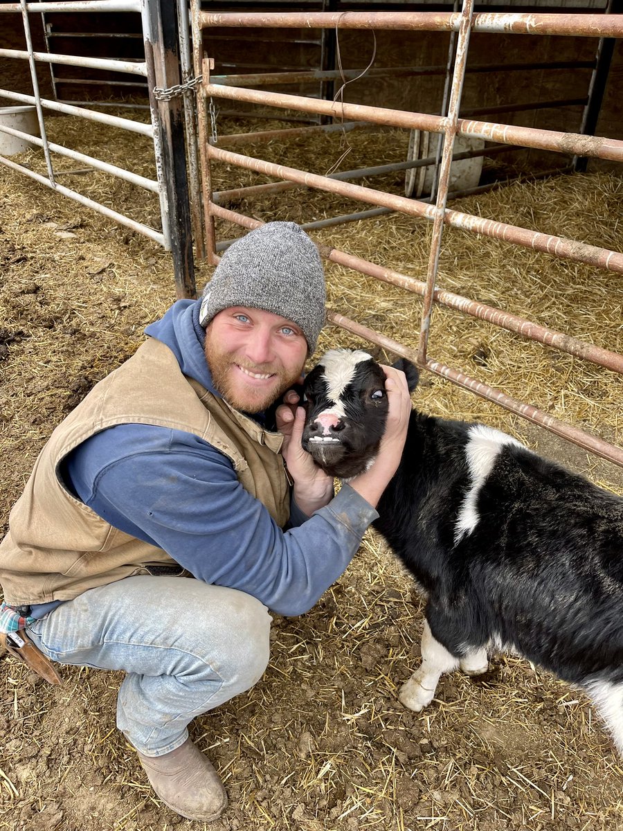 onlyottfarms's tweet photo. Everyone is smiling &amp; showing some teeth on Good Friday 😁

#farmlife #farmlifestyle #nebraska #calf #holstein #calvingseason #checkoutthoseteethers https://t.co/qhMhiAGnZj