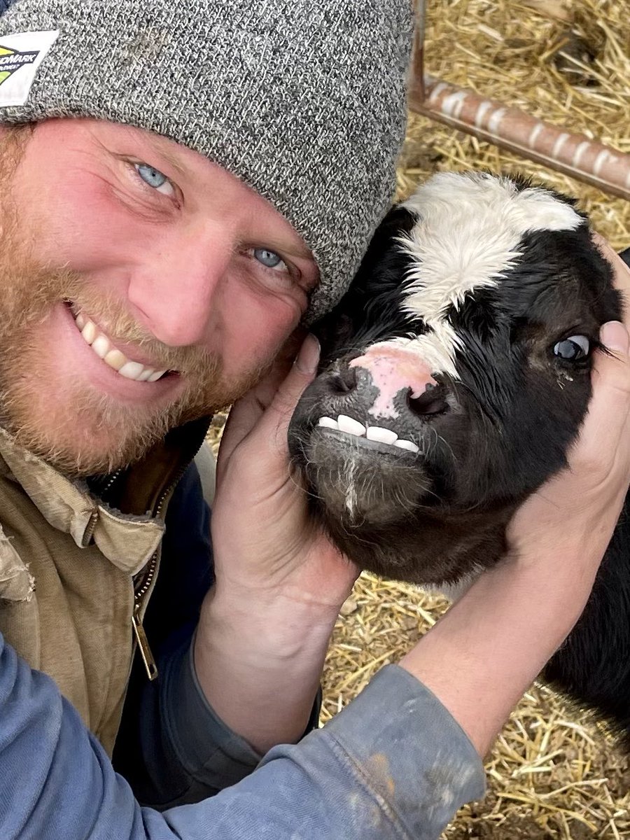 onlyottfarms's tweet photo. Everyone is smiling &amp; showing some teeth on Good Friday 😁

#farmlife #farmlifestyle #nebraska #calf #holstein #calvingseason #checkoutthoseteethers https://t.co/qhMhiAGnZj