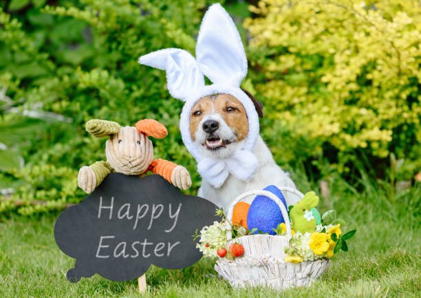 TheHearingLoss's tweet photo. Wishing everyone a Happy Easter from our families to yours ๐ฐ๐ฐ
We hope everyone gets to laugh, eat chocolate and spend time with the ones they love this weekend!
#HappyEaster #leadwithheart #oneteamonegoal #amplifyoptimism #bcfamily #yycfamily #makingmemories https://t.co/4drfo5LeIz