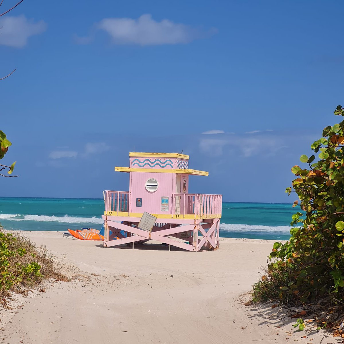 FreeMindCouple's tweet photo. First time in Miami, we could not miss #HauloverBeach. Place a bit lauder especially on the weekends, than what we used to see in Europe, but as always among #naturists many kind people around! https://t.co/YWsHrOpXlT