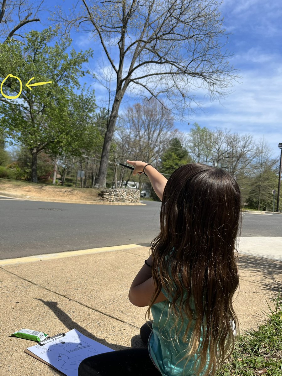 CPESGrade1's tweet photo. As scientists, we practiced using our 5 senses outside. One student observed a nest during our nature observation! When we listened closely, we could even hear the baby birds chirping! #cpesbelieves https://t.co/XBjkgfXiWR