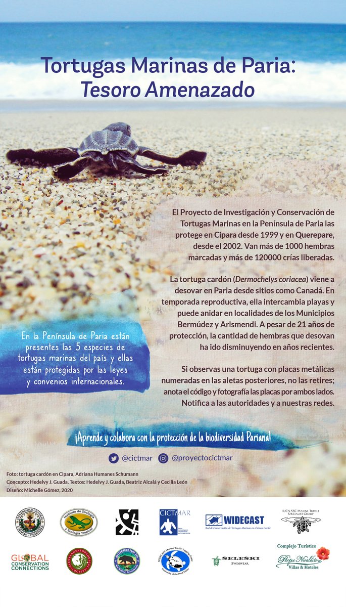CICTMAR's tweet photo. #15Abr Paria es el área continental de anidación más importante del país para la tortuga cardón y la tortuga carey... Estamos en temporada de desove... colabora no consumiendo huevos ni carne de tortuga y denunciando a los infractores #SemanaSanta2022 🐢🇻🇪 https://t.co/ja6Cieq0Wx