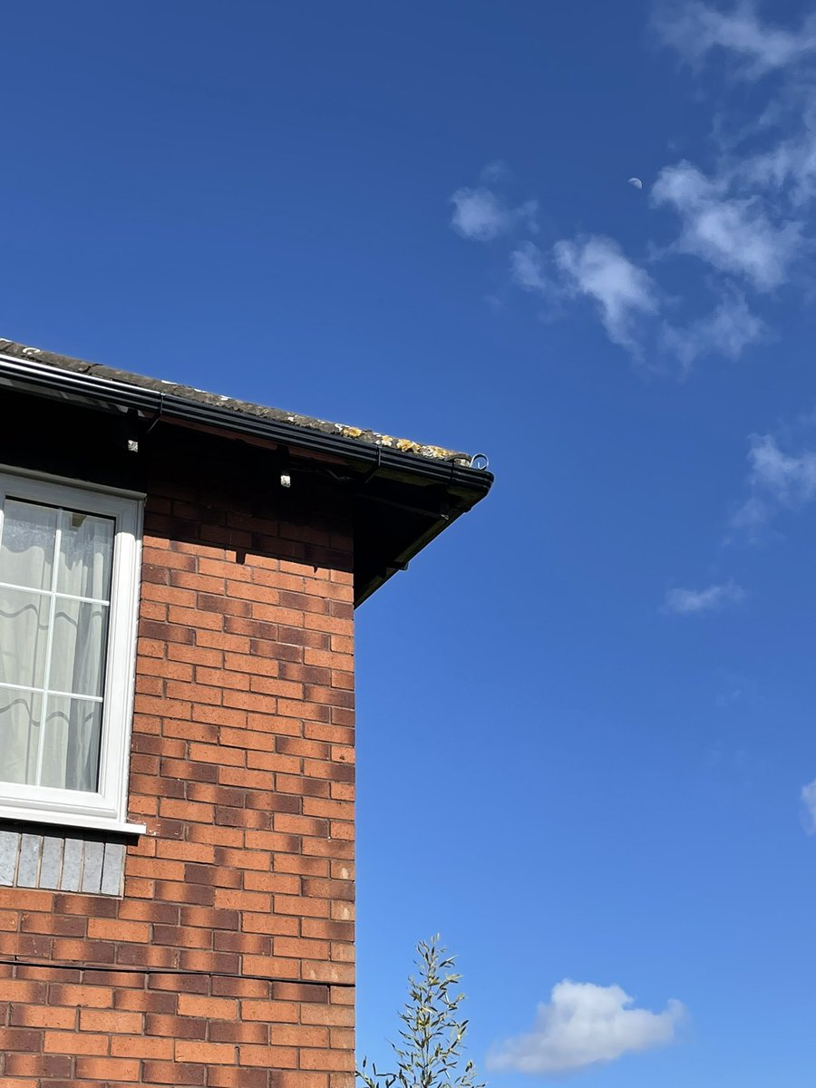 Jwfascias's tweet photo. Full new ogee gutter install @freefoam excellent materials as always another happy customer https://t.co/kCWxd7DW2d