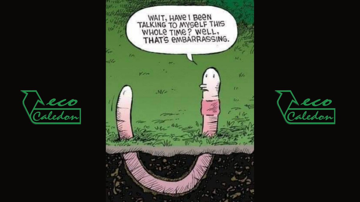 ecoCaledon's tweet photo. Sometimes talking about the environment can be kind of heavyโฆso this #NationalHumourMonth, we are bringing the funny!
The most important thing you can do to fight climate change, talk about itโฆ
https://t.co/KABDNDk5BR
Photo Source: unknown https://t.co/hva4h447g5