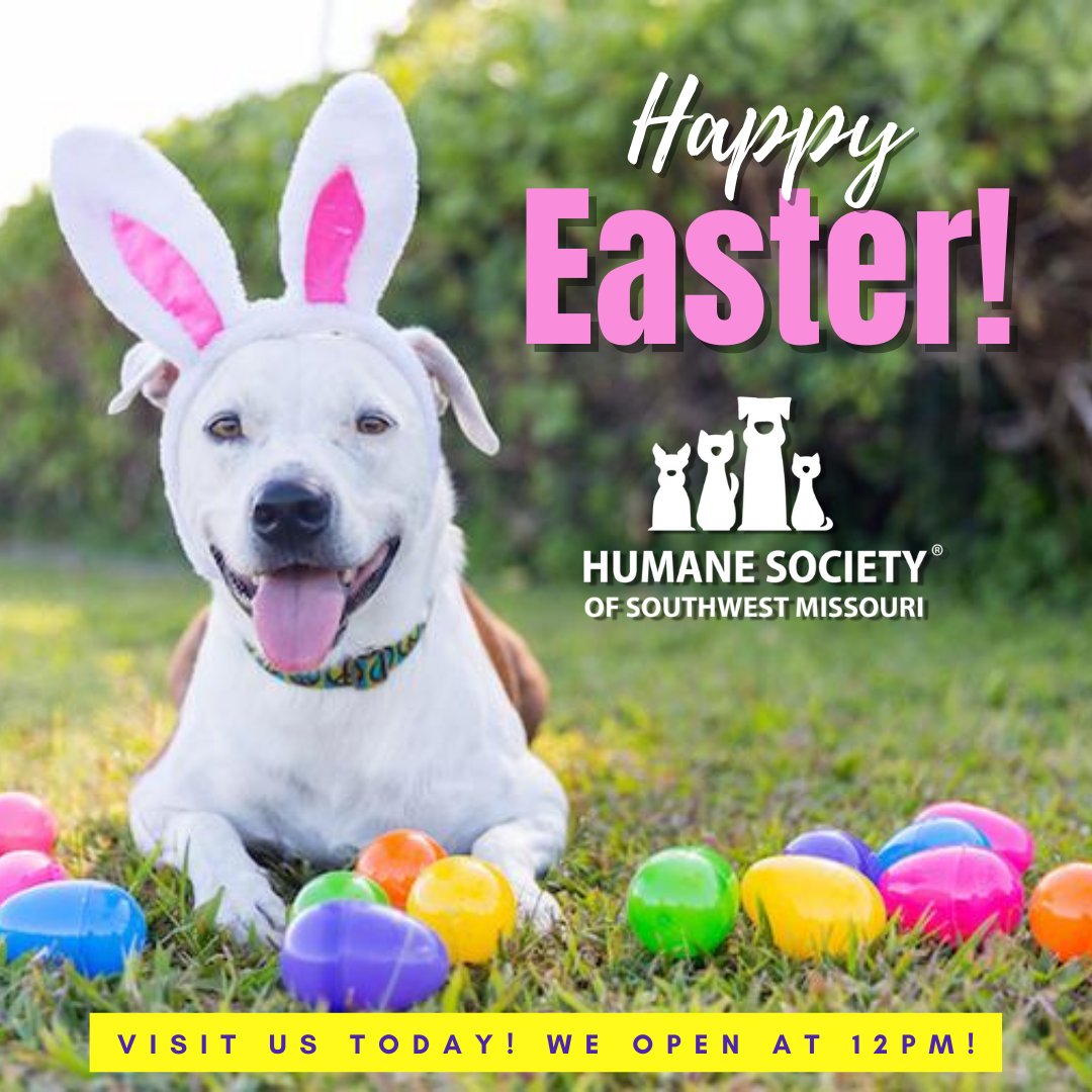 Happy Easter! We are open and have some special dogs and cats that are wanting to join your crew! Hop on in today from 12-5pm and look for the Easter eggs! Find an egg and see what special prize is on it!