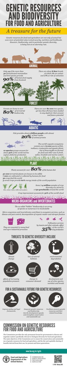 UN Biodiversity tweet media