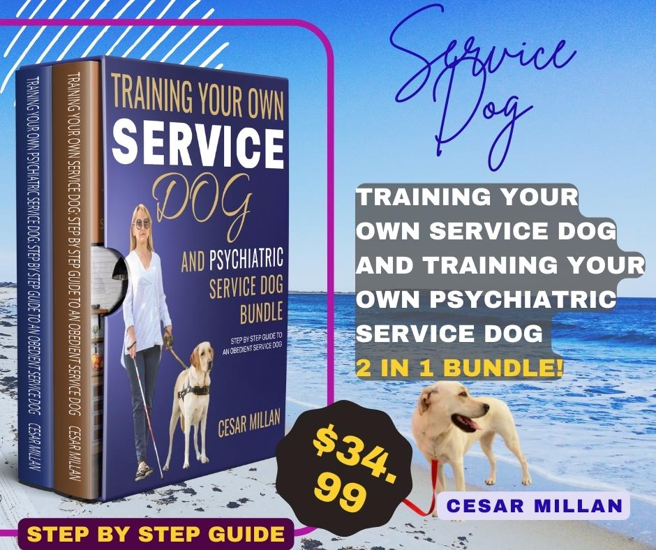 DrCMTraining's tweet photo. *  A Service dogs play a vital role in the lives of people with disabilities
*  A Psychiatric Service Dog Can prevent Stress
𝙆𝙣𝙤𝙬 𝙢𝙤𝙧𝙚 👆🏻: https://t.co/gUc4cQkA9R https://t.co/AkJMSS2KVH