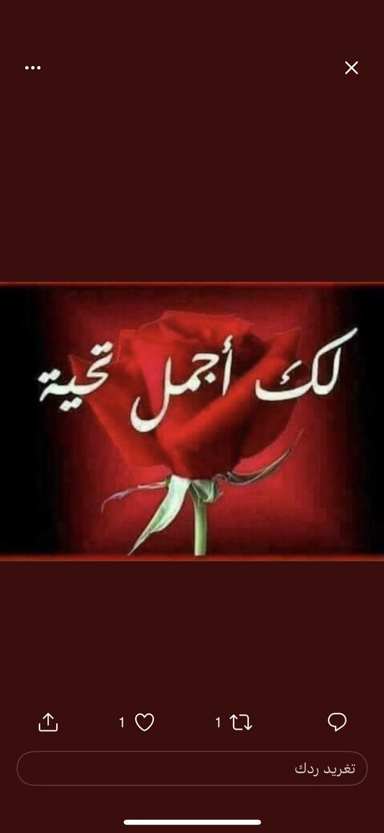 Homing_pen_5666's tweet photo. @11_1140 https://t.co/4zZ4oQa4p1