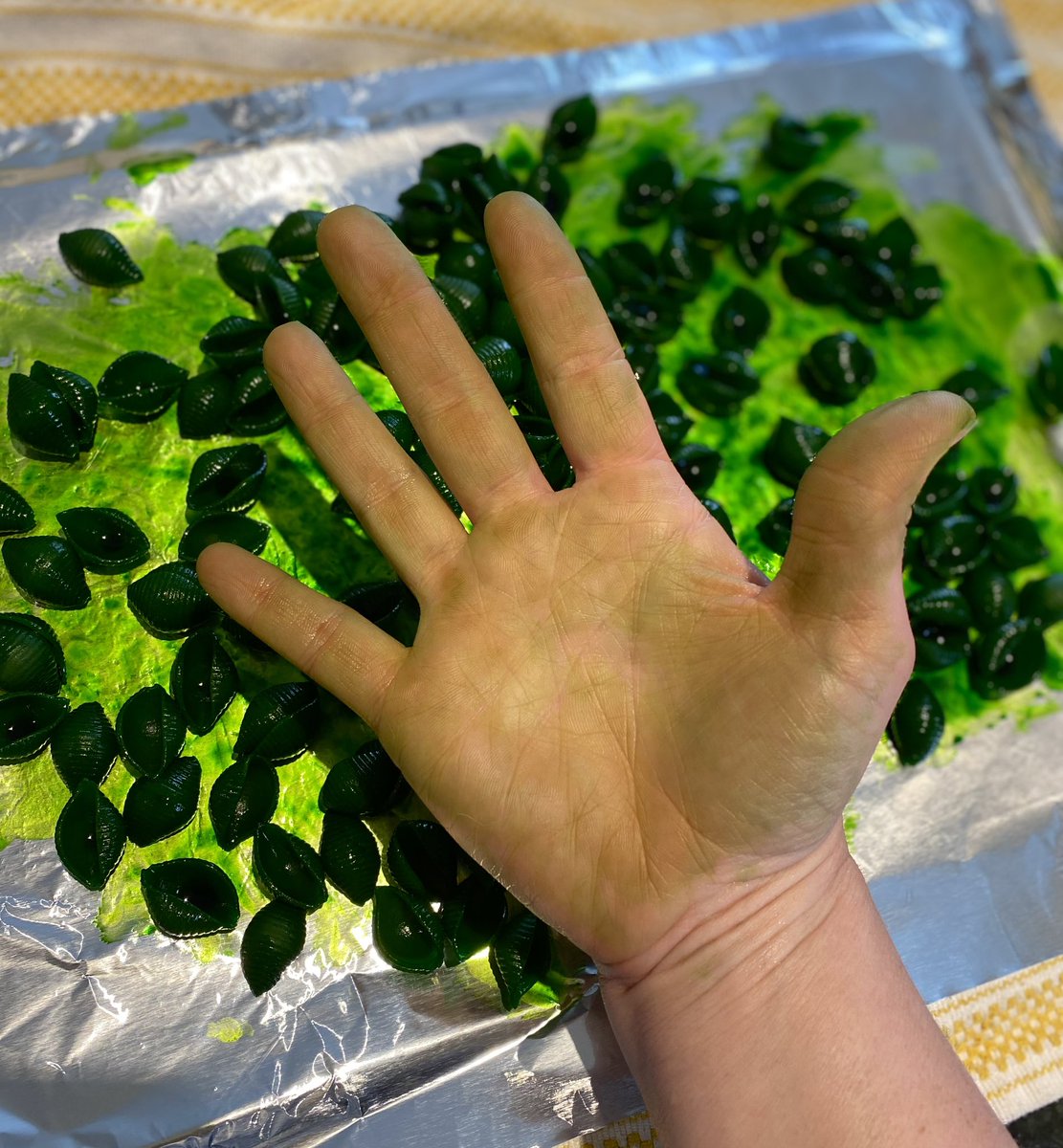 itssunnyin2nd's tweet photo. When youโre going for more of a chrysalis-butterfly-life-cycle-green but literally everything ends up Hulk smash green ๐
Excited for this quarter, green hands and all! #welpthatsawrap #itwilldo #greenismyfavoritecolor https://t.co/MkFp7licDn