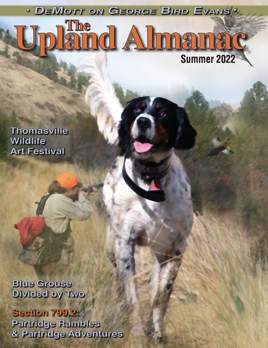 UplandAlmanac's tweet photo. The Upland Almanac, Summer 2022 issue is HERE! Features include: An excerpt from "Partridge Rambles &amp; Partridge Adventures"; Thomasville Wildlife Art Festival; Blue Grouse = Dusky and Sooty Grouse; Understanding Woodcock Migration, plus much MUCH More! See https://t.co/dd7M2KzMPA https://t.co/RIZw9aAqCh