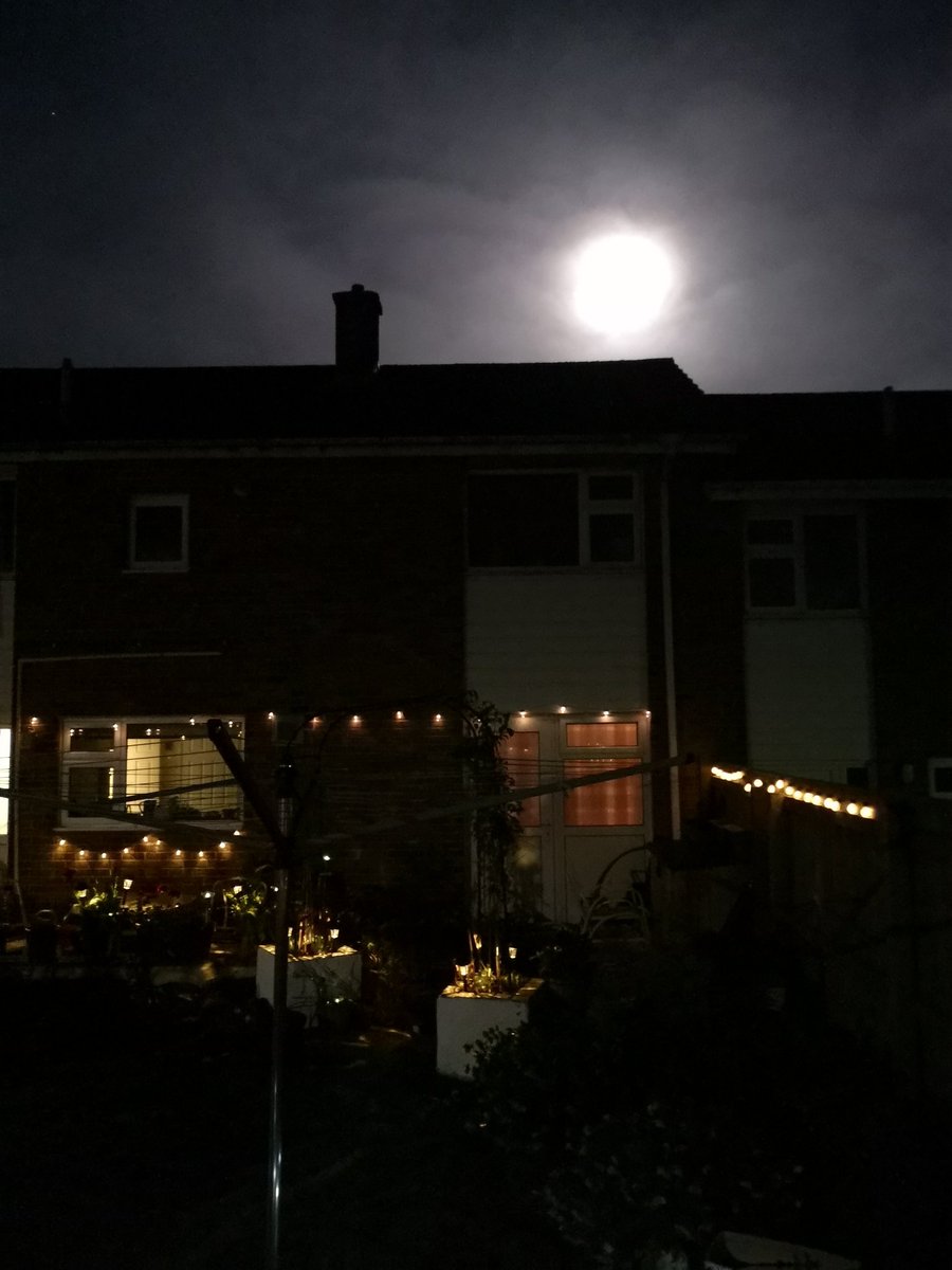 FreyaHedgewytch's tweet photo. Almost full moon 🌕
Tomorrow 19:55 for Plymuff 😉
#AprilPinkMoon https://t.co/jXQSkioLkB