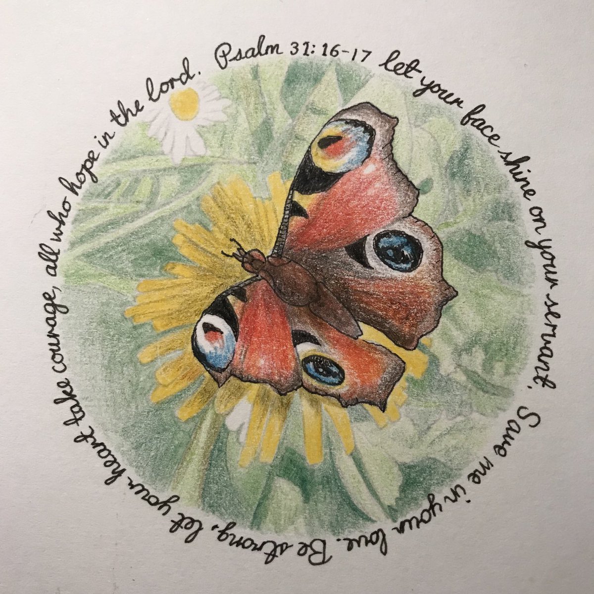 judithmbuchanan's tweet photo. A peacock butterfly https://t.co/JVgpWlOWPi