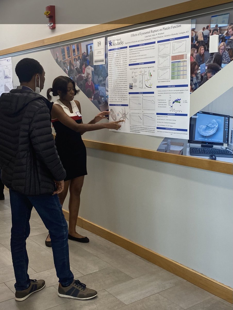 The Whiteheart lab tweet media