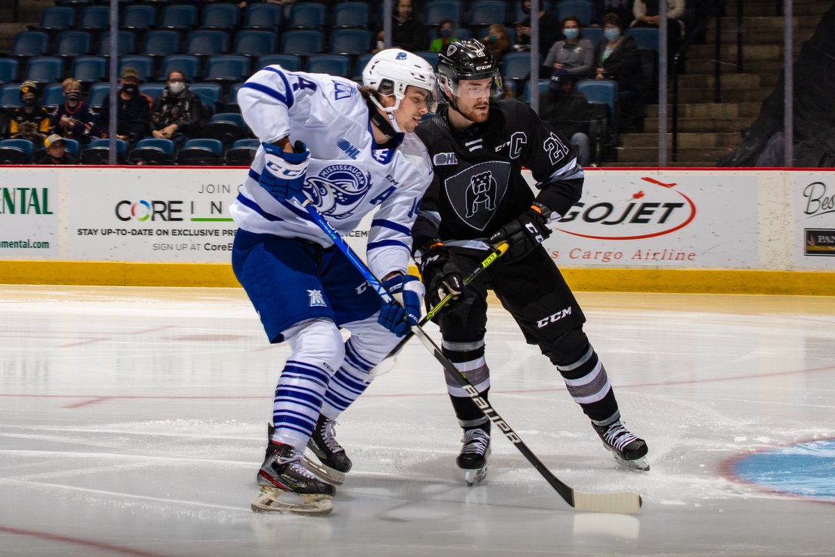 Brantford Bulldogs tweet media