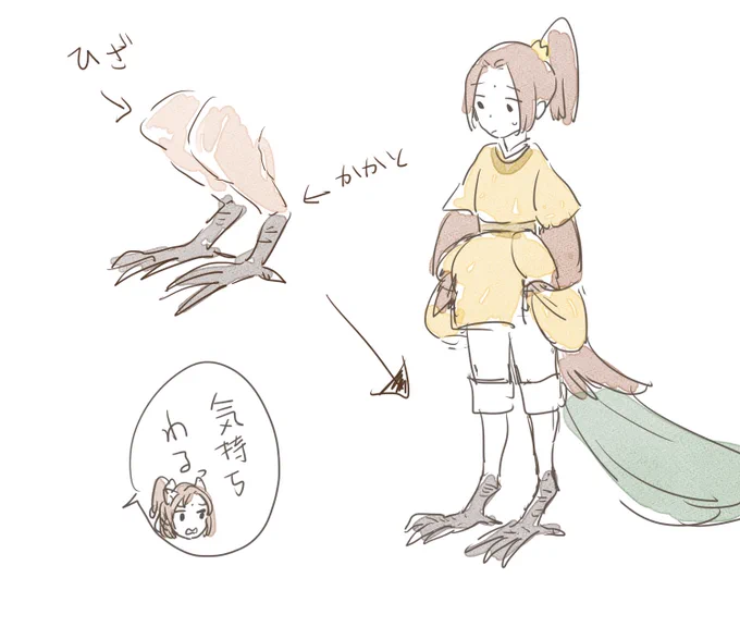 すっぽんぽんの🦚描かないといけないから
いよいよ足の繋ぎ目の事をハッキリさせないといけないな(今までは見ないふりをしていた)って思って
見てたんだけど、
鳥の足の構造をリアルに引き継ぐとしたらこうなるんだなって…気持ちわるっ(関節多く感じる)
いや、🦊の方もよけ変わらんのですけど… 