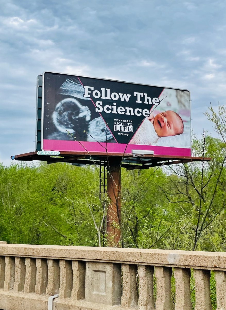 BiblicalBeauty's tweet image. Well done, Tennessee Right to Life!
