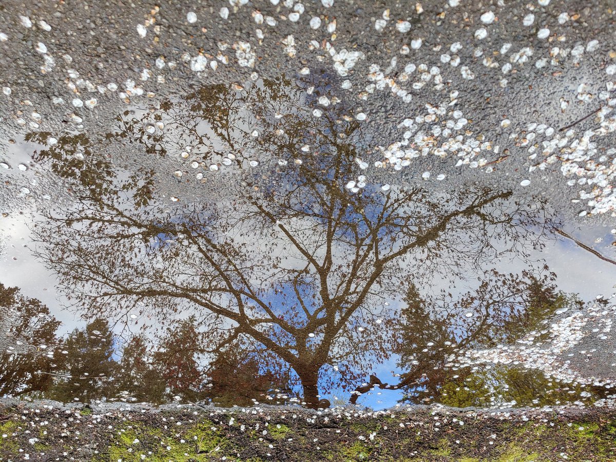 Jordan Ostapiuk tweet media