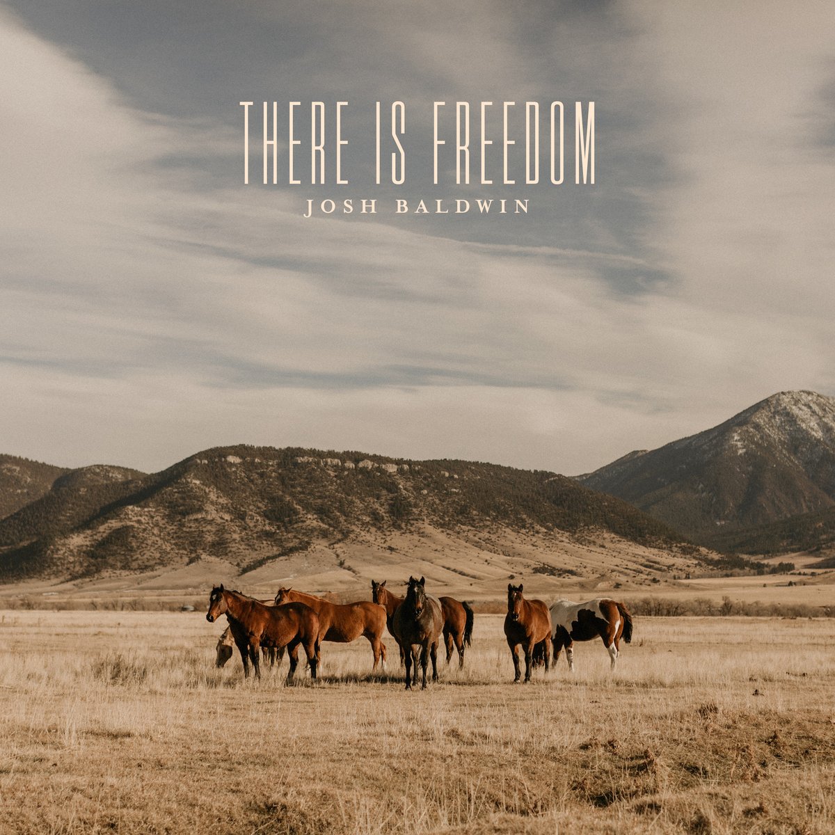 worshipteam's tweet photo. Josh Baldwin has released “There Is Freedom” and the song is now loaded into https://t.co/uFXdxZ5aZx @baldwinjosh @bethelmusic #ThereIsFreedom #JoshBaldwin #BethelMusic #WorshipTeam #WT Chord Chart &amp; Audio in all the keys on WT! https://t.co/Abmbk9MbsL https://t.co/UZtfWFU7sE