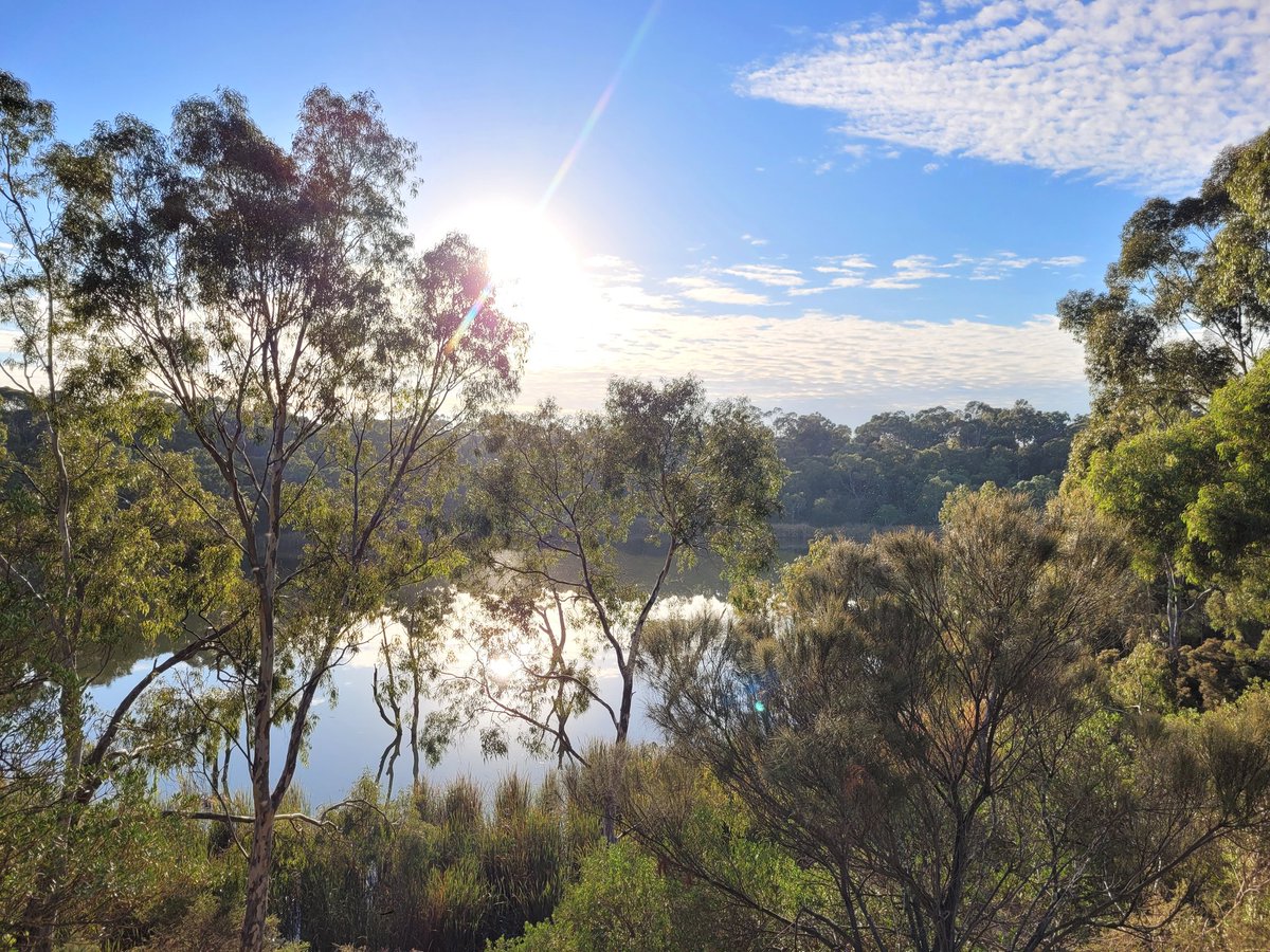 Saturday morning run 🙌