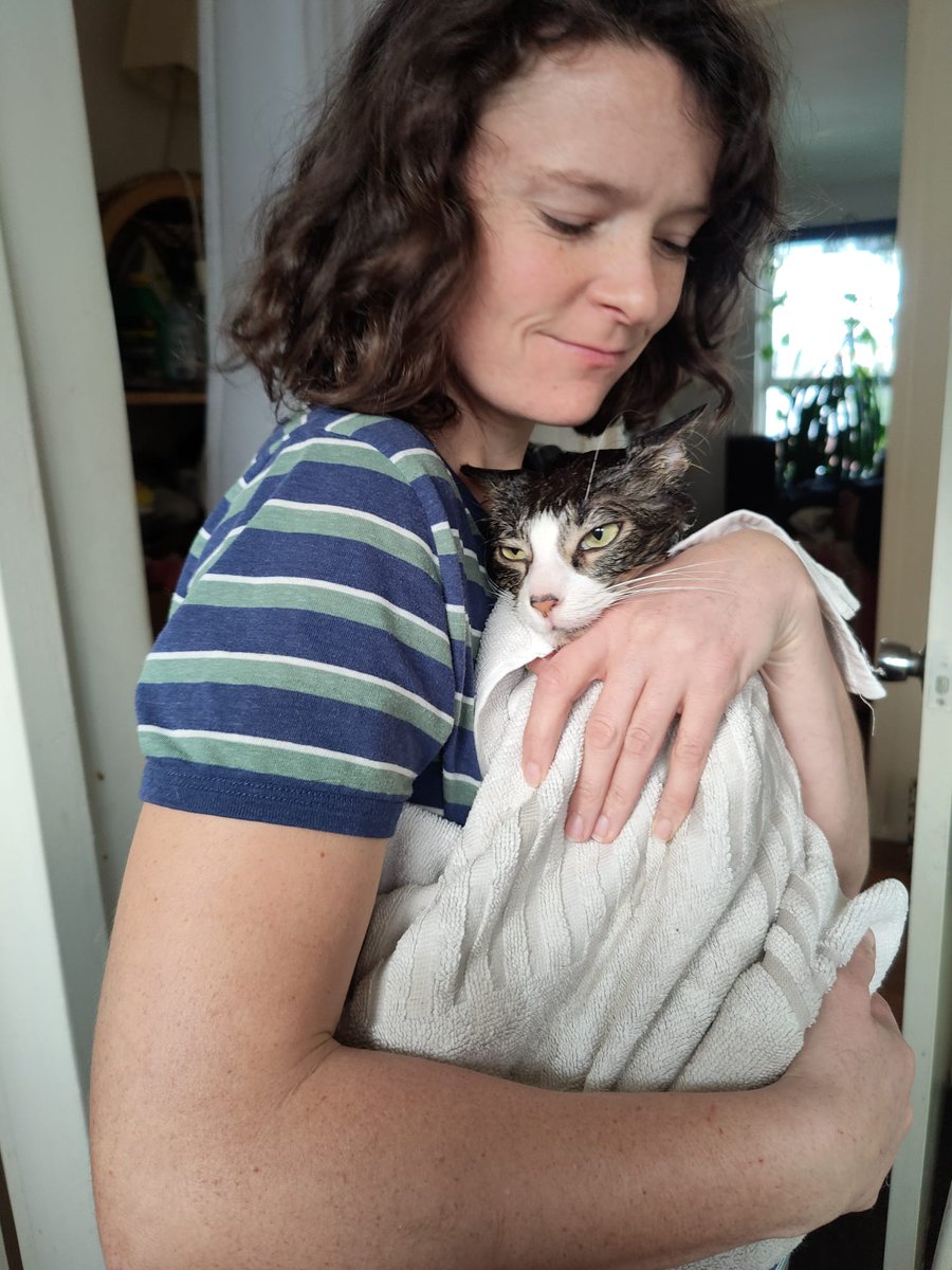 KingFidi's tweet photo. I am not your baby. I am da King!! #cats #CatsOnTwitter #catsofinstagram #CatsOfTwitter https://t.co/rhvi4ynHpV