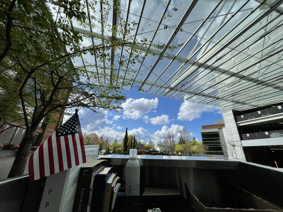 Happy International Art Day. Happy Birthday Leonardo De Vinci.