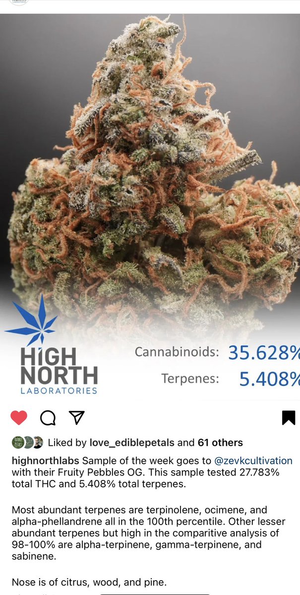 Happy Easter 🐣. Happy to see this #highnorthlab #wearezevk #delight #friday #Happy Easter #EasterWeekend