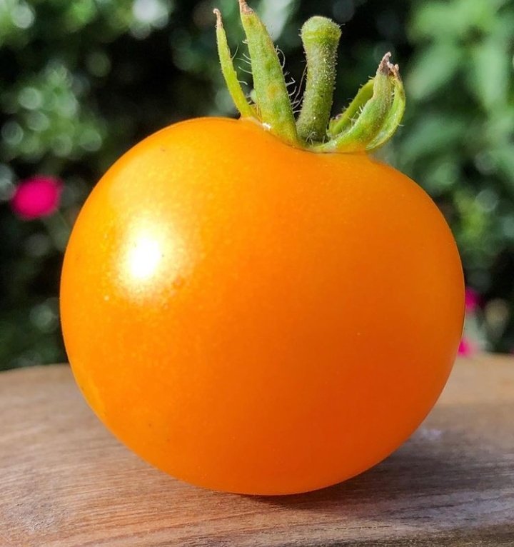 Bunca çeşit bunca güzellik varken tek tip tüketmek zorunda değiliz, değişim bir yerden başlamalı #atalıktohum