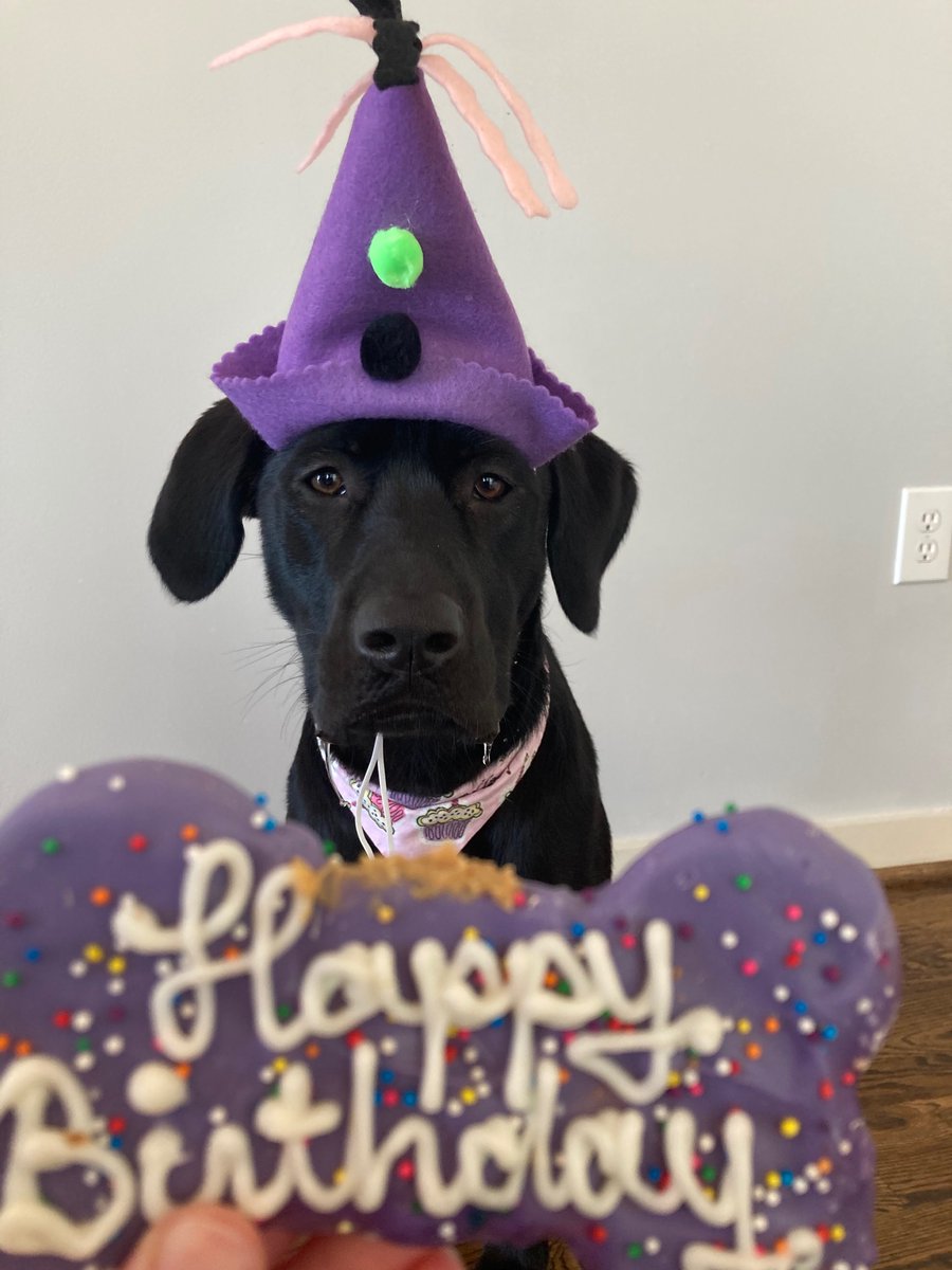 Mrs. Frugal Banker tweet media