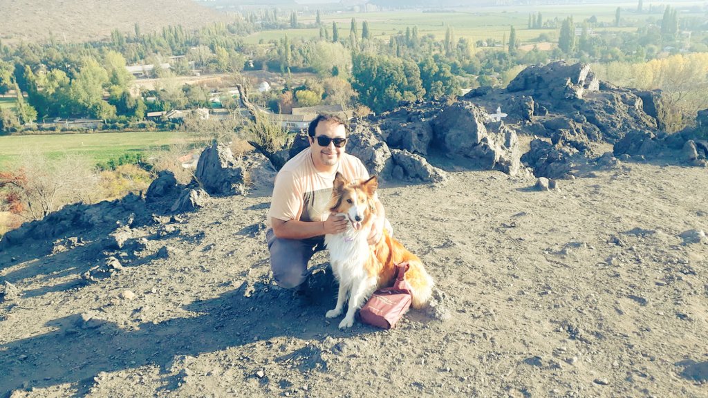 DrCF18's tweet photo. @EdUSanTiAgUiNo Nuestra Sumi puro amorsh entrega a toda la familia 🦊 https://t.co/1cRLnONJtL